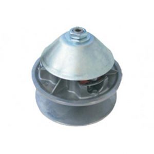 Variatore Motore Aixam
