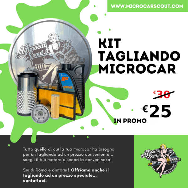 Kit Tagliando Completo Microcar
